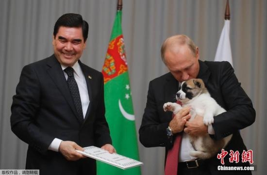 资料图：今年10月11日，普京与土库曼斯坦总统库尔班古力・别尔德穆哈梅多夫会面，获赠土库曼斯坦特有的阿拉拜犬。