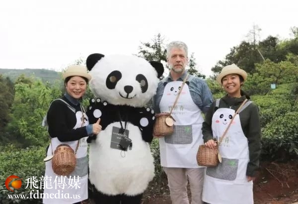 ▲“2019竹叶青峨眉高山绿茶寻茶之旅”活动现场照片。（图片来自网络）