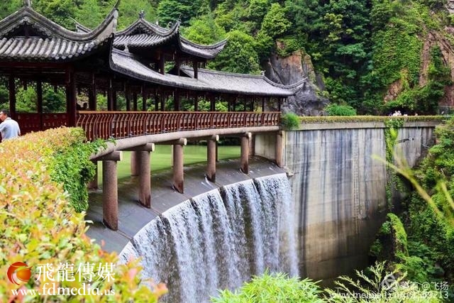 龙楼凤阙不肯住,飞腾直欲天台去!