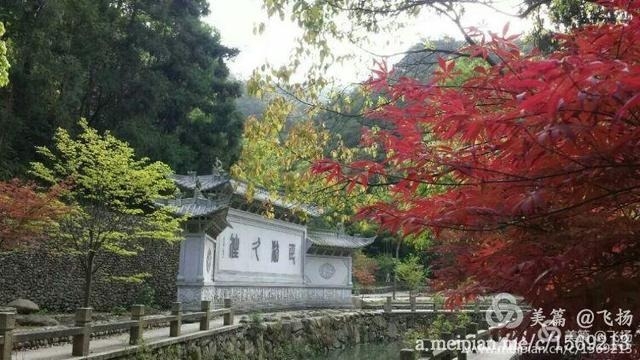 龙楼凤阙不肯住,飞腾直欲天台去!