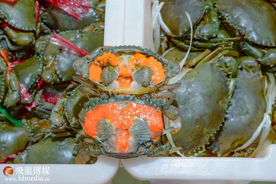 觅食鹿城，一本来自老饕的独门秘籍︱三亚必吃美食推荐