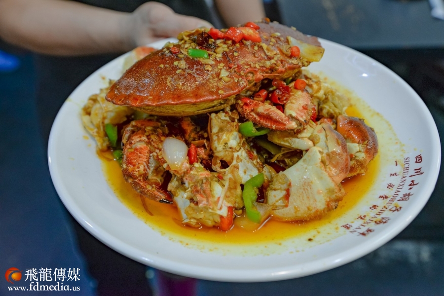 觅食鹿城，一本来自老饕的独门秘籍︱三亚必吃美食推荐