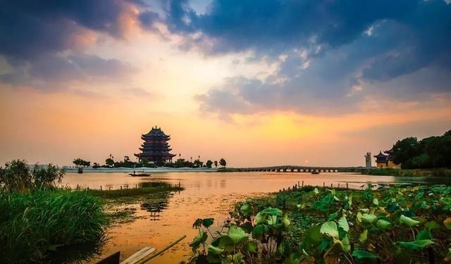 姑苏不只有园林古镇还有繁花似海，苏州全年赏花旅行攻略